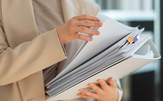 Submission Dossier Preparation image